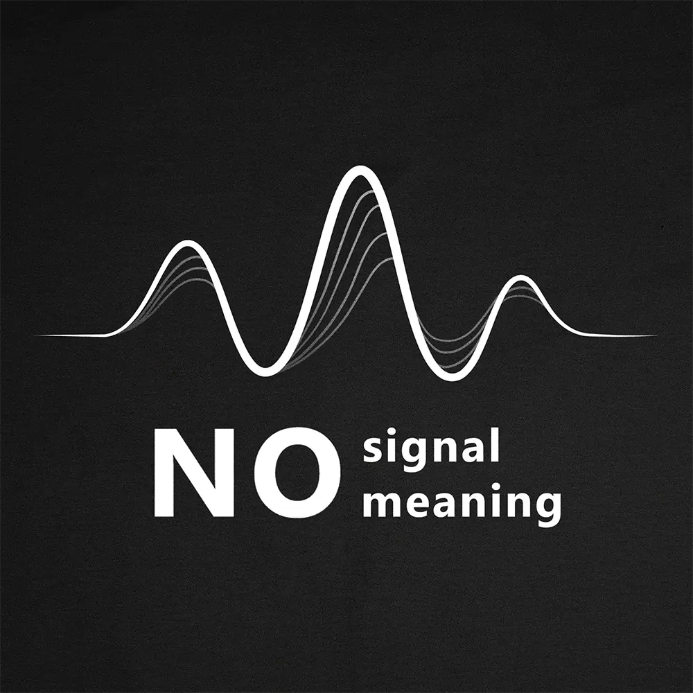 Bluza Kangurka No Signal No Meaning - Image 5